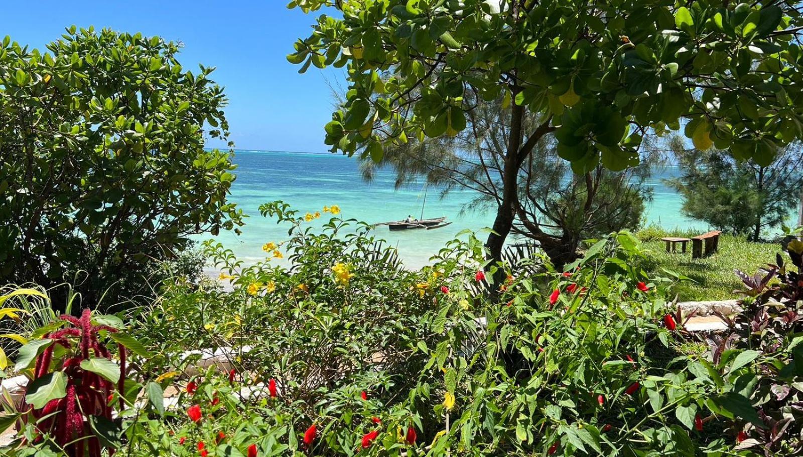 Z-breeze Zanzibar