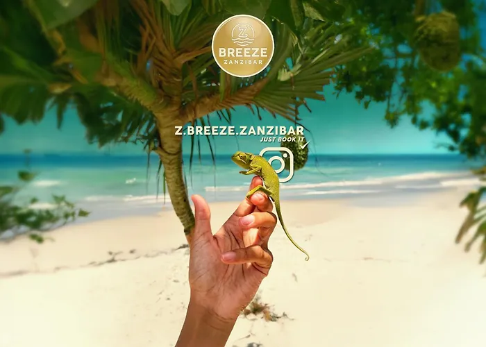 Z-Breeze Zanzibar